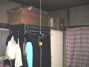 [before